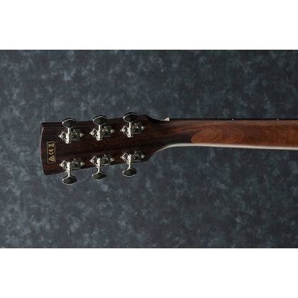 Ibanez PC12MH OPN Chitarra acustica