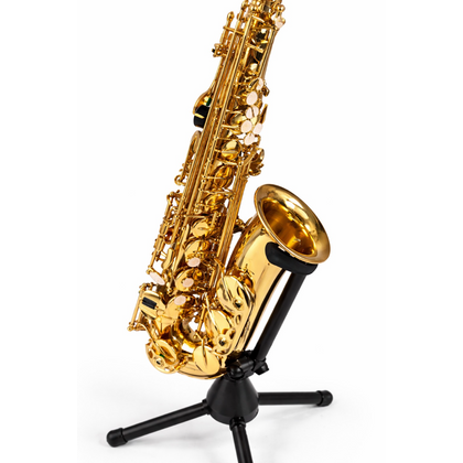 DAM DAS-90 Sax Alto completo di custodia