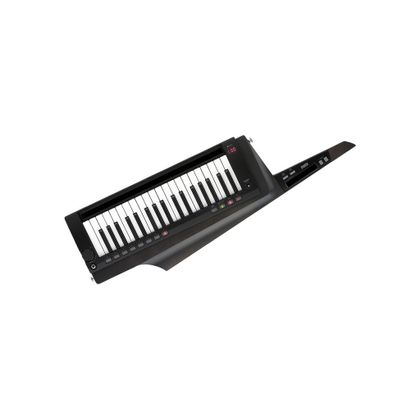 KORG RK100S2 BLK Keytar 37 tasti