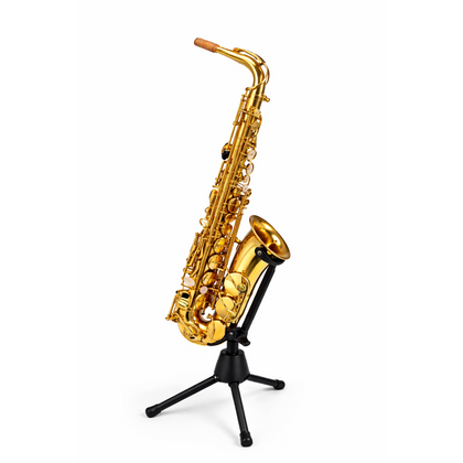 DAM DAS-90 Sax Alto completo di custodia