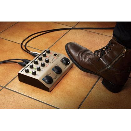 BOSS VE-8 Acoustic Singer Effetti per Voce e Chitarra Acustica
