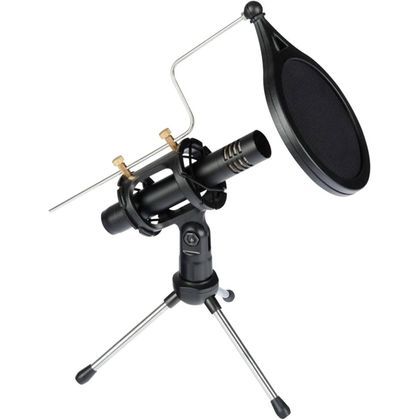 EIKON CM150V2 Microfono Professionale a Condensatore per strumenti