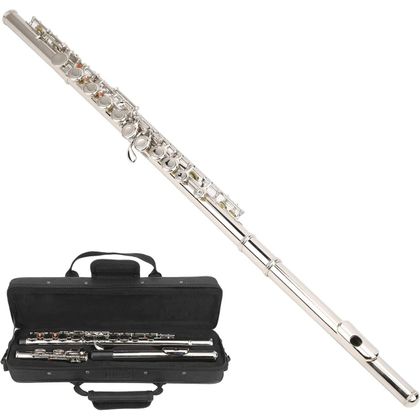 DAM DFL-110 Flauto Argentato 16 fori con chiavi chiuse
