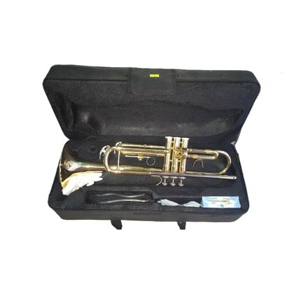 DAM DTR-100 Tromba con astuccio