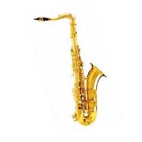 DAM DAS-90 Sax Alto completo di custodia