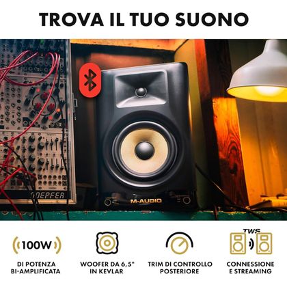 M-AUDIO Forty Sixty Monitor da studio