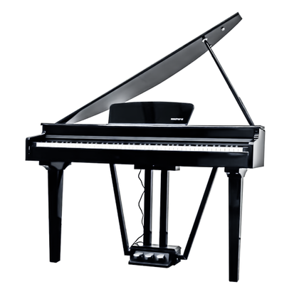 Echord GP-10B Pianoforte coda digitale nero