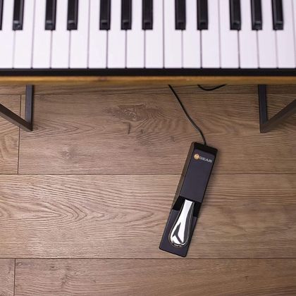 M-AUDIO Sustain Pedal SP-2 per tastiere e controller MIDI