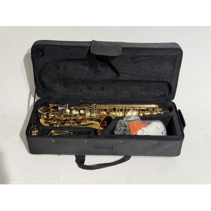 W. Stern WSSA30 Sax contralto laccato oro con astuccio B-Stock