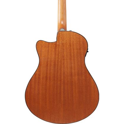 Ibanez AAM50CEOPN Open Pore Natural Chitarra Acustica