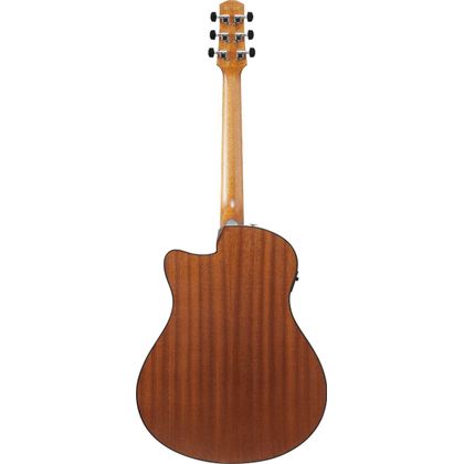 Ibanez AAM54CEOPN Open Pore Natural Chitarra Acustica