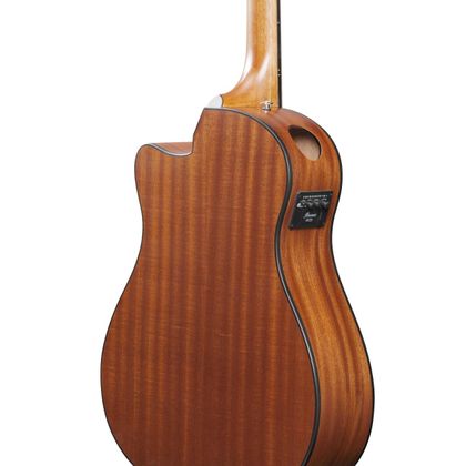 Ibanez AAM54CEOPN Open Pore Natural Chitarra Acustica