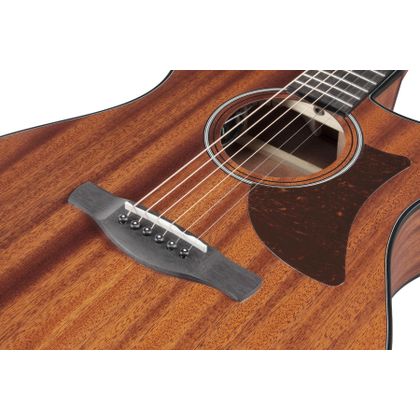 Ibanez AAM54CEOPN Open Pore Natural Chitarra Acustica