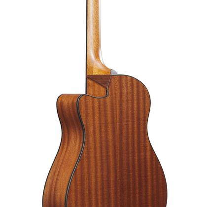 Ibanez AAM54CEOPN Open Pore Natural Chitarra Acustica