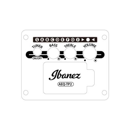 Ibanez AAM54CEOPN Open Pore Natural Chitarra Acustica