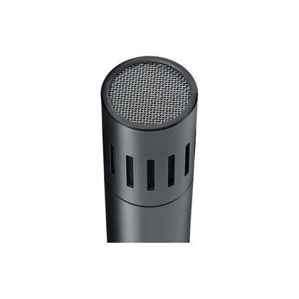 AKG C151 Microfono a Condensatore Diaframma Stretto