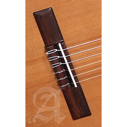 Alhambra Z-Nature CT EZ Chitarra classica elettrificata cassa stretta + Borsa omaggio