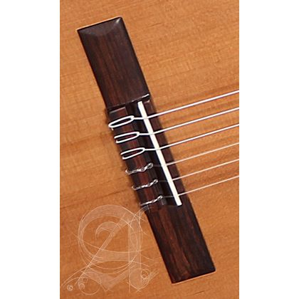 Alhambra Z-Nature CT EZ Chitarra classica elettrificata cassa stretta B-STOCK
