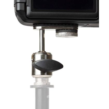 PROEL AP114 Adattatore universale per videocamere e action cam