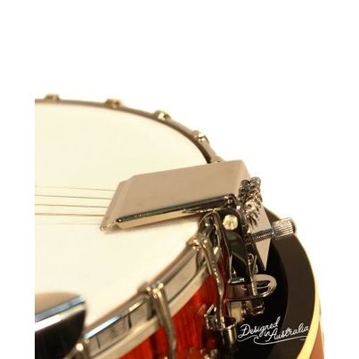 ASHTON BNJ50 Banjo 5 corde