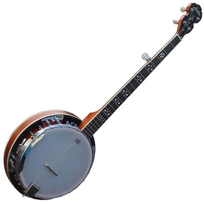 ASHTON BNJ50 Banjo 5 corde