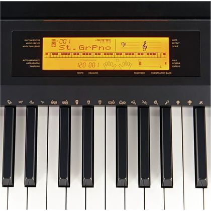 Casio CDP 230R BK Pianoforte digitale 88 tasti con arranger