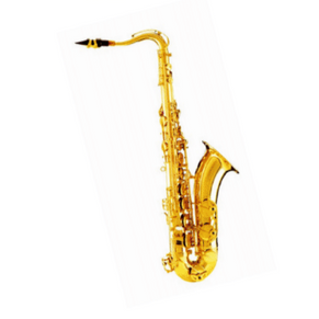 W. Stern WSST60 Sax Tenore