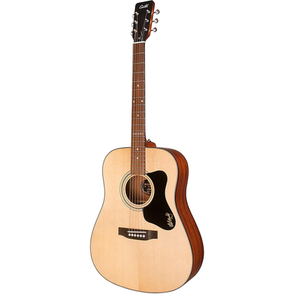 GUILD A 20 Bob Marley Limited Edition chitarra acustica