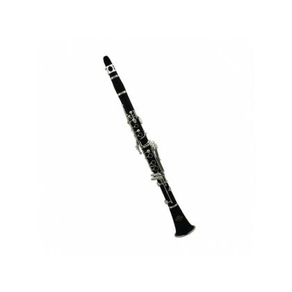 Roy Benson CB-218 clarinetto in Sib