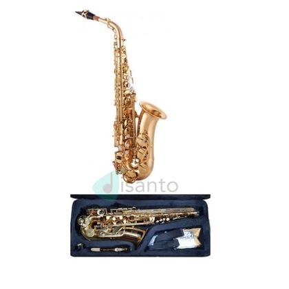 DESIR Sax contralto laccato oro con astuccio
