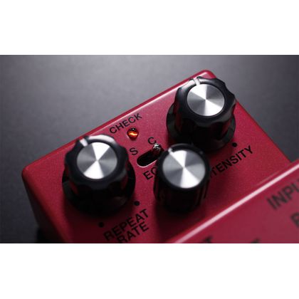 BOSS DM-2 Waza Craft Delay effetto a pedale per chitarra e basso