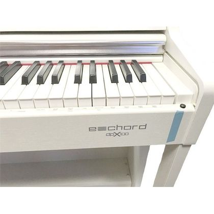 ECHORD DPX100 White Pianoforte Digitale 88 Tasti bianco con stand