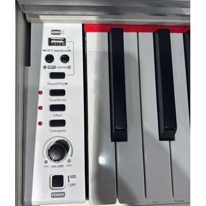 ECHORD DPX100 B Polished Pianoforte Digitale 88 Tasti con Stand Nero Lucido