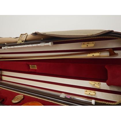 Violino Liuteria Giuseppe Malapena