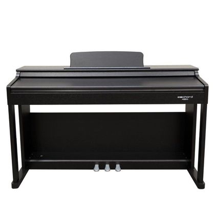 ECHORD DPX100 B Polished Pianoforte Digitale 88 Tasti con Stand Nero Lucido
