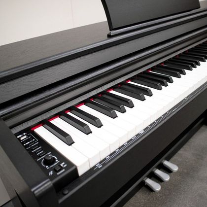 ECHORD DPX100 B Polished Pianoforte Digitale 88 Tasti con Stand Nero Lucido