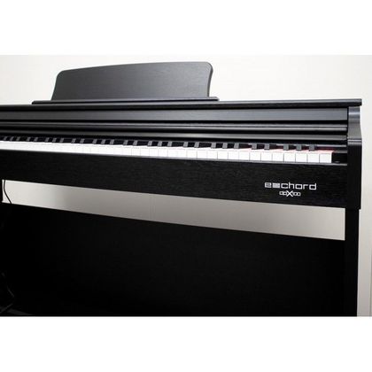 ECHORD DPX100 B Polished Pianoforte Digitale 88 Tasti con Stand Nero Lucido