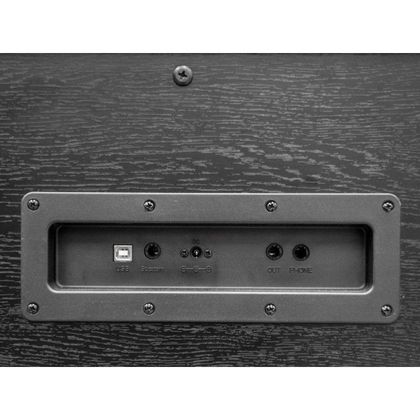 ECHORD DPX100 B Polished Pianoforte Digitale 88 Tasti con Stand Nero Lucido