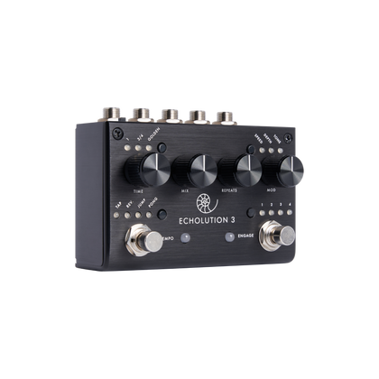 PIGTRONIX Echolution 3 Tape Dealy Per Chitarra e Basso