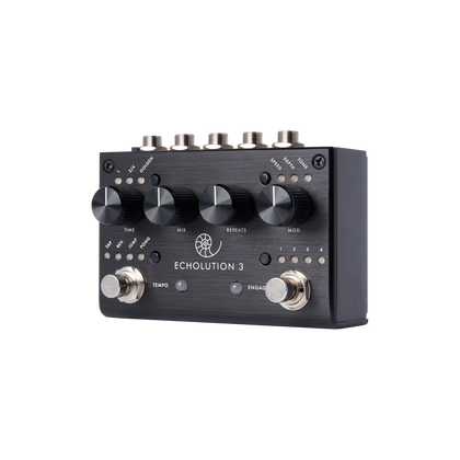 PIGTRONIX Echolution 3 Tape Dealy Per Chitarra e Basso