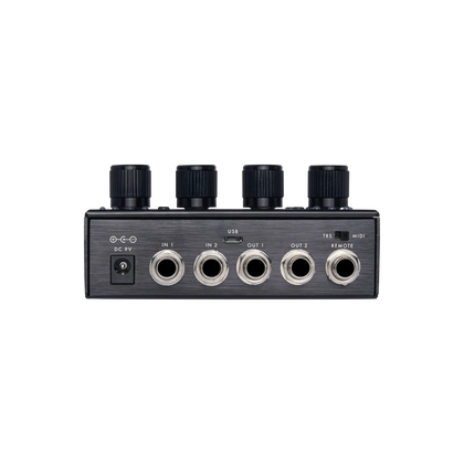 PIGTRONIX Echolution 3 Tape Dealy Per Chitarra e Basso