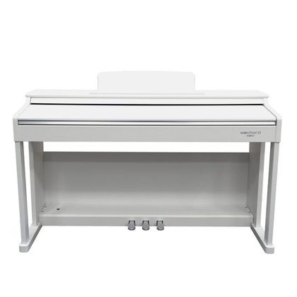 ECHORD DPX100 Polished White Bundle Completo