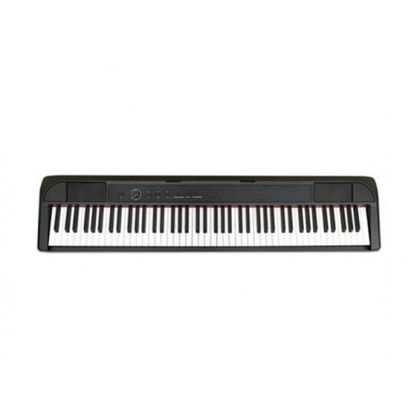 Echord DP-1 Bundle + stand