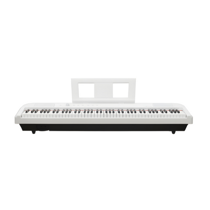 Echord DP-1W Bundle Completo
