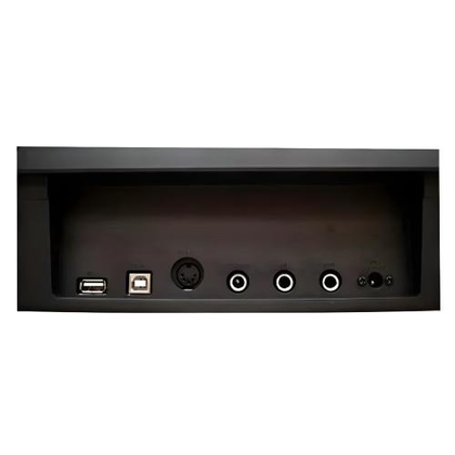 Echord DP-1W Bundle + stand