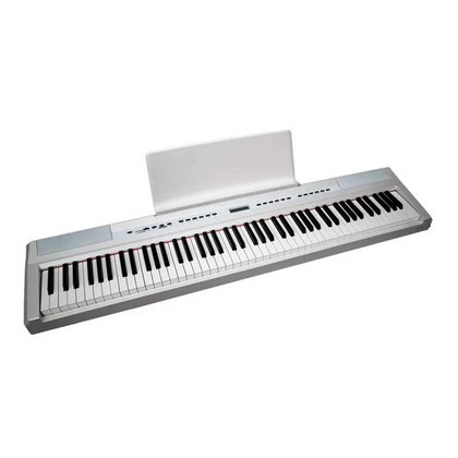 Echord DP-1W Bundle Completo