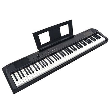 Echord DP-1 Pianoforte Digitale 88 Tasti pesati nero