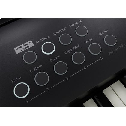 USATO Roland FP-E50 pianoforte digitale 88 Tasti pesati