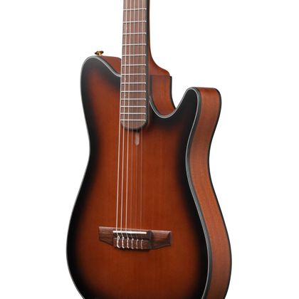 Ibanez FRH10NBSF Thinline Chitarra classica Brown Sunburst Flat