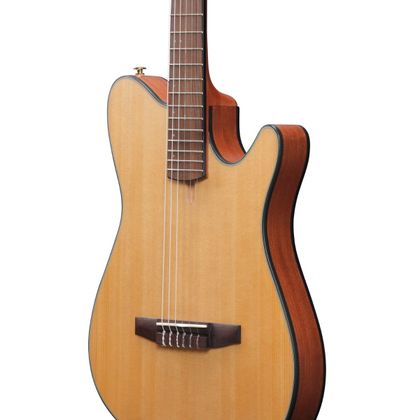 Ibanez FRH10N Thinline Chitarra classica Natural